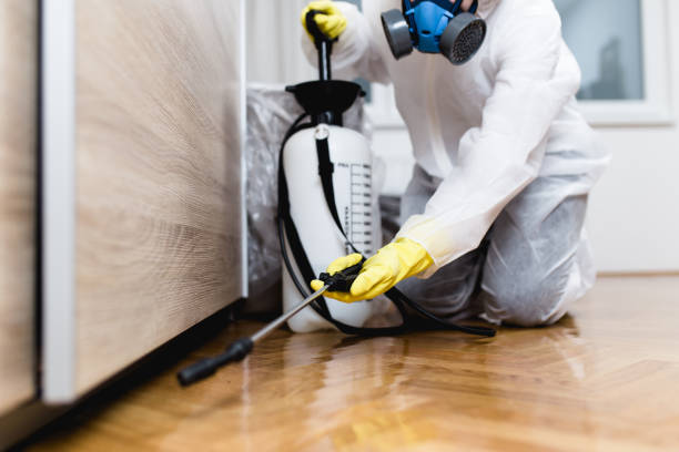 Best Cockroach Control Services  in Macon, MS