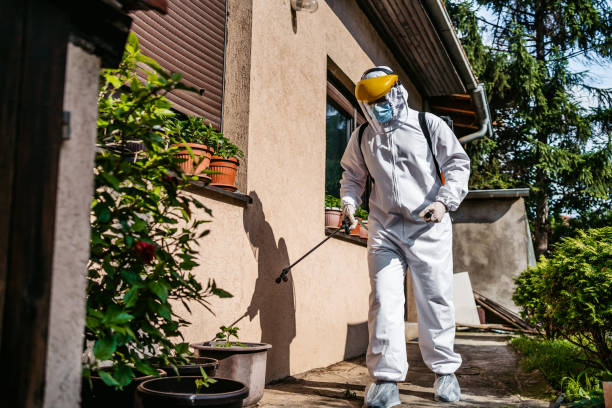 Insect Control in Macon, MS