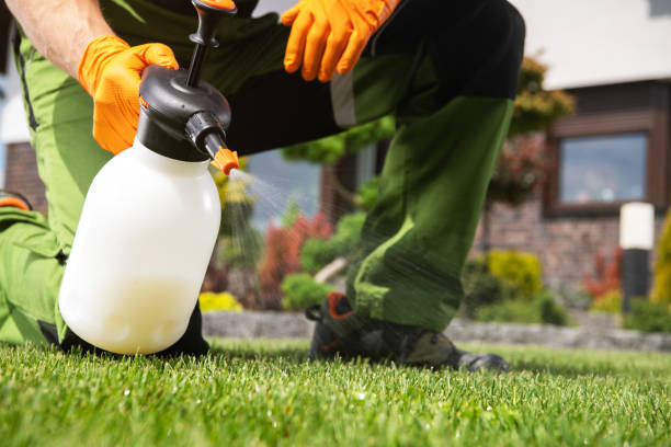 Best Emergency Pest Control  in Macon, MS