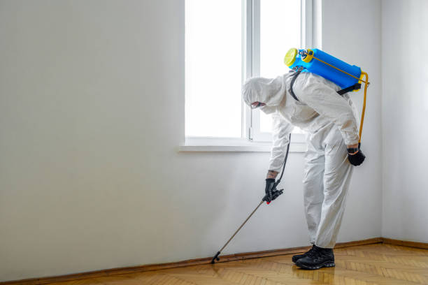 Best Pest Control for Restaurants  in Macon, MS