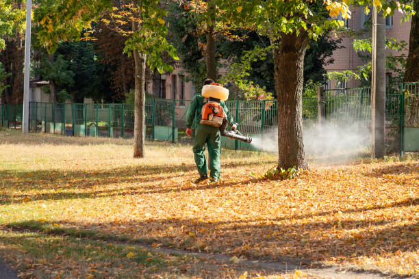Best Pest Prevention Services  in Macon, MS