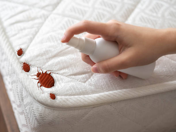 Best Mosquito Control Services  in Macon, MS