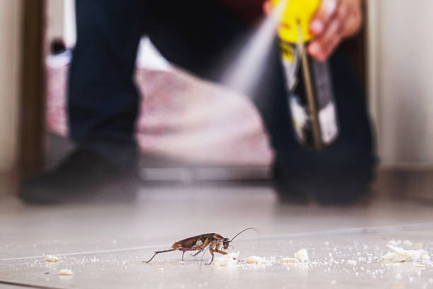 Reliable Macon, MS Pest Control Solutions